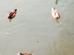 -曹禺故居纪念馆