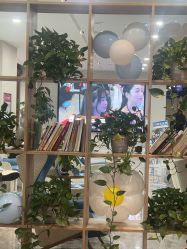 -碧莲盛·不剃发植发
