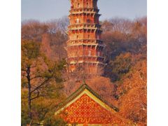 -宝通禅寺