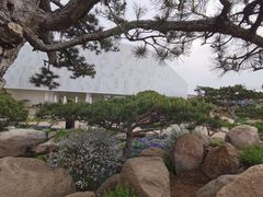 -罗红摄影艺术馆