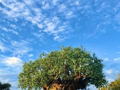 -奥兰多迪士尼动物王国乐园