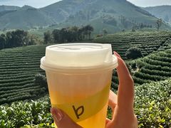 安吉白茶奶盖-白茶原·一片叶子