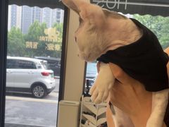 -虹泰宠物医院 ·旗舰店·24h(南秀路店)