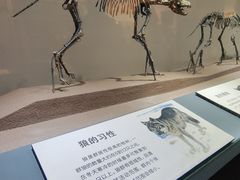 -大庆市博物馆