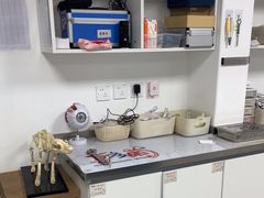 -喜多萌中农锦绣动物医院24H·猫科·牙科MRI·CT