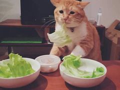 -食武士·舒芙蕾(新街口明瓦廊店)