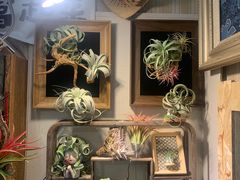 -Rabbit Cafe私房西餐甜点咖啡(栖霞路店)