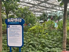 -南宫五洲植物乐园