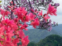 -岳西天峡风景区