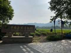 -中国茶叶博物馆(双峰馆区)