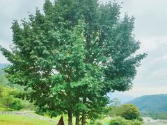 -石棉县孟获城