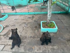 -西霞口神雕山野生动物世界