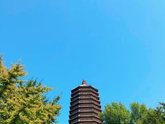 -玲珑塔公园