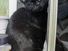-中农大我爱我爱动物医院·核磁CT·猫病·24小时夜诊中心(石佛营店)