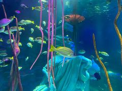 -沈阳海洋探索中心