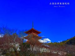 -有栖山 清光院 清水寺