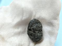 -派美特宠物医院·核磁CT·骨科肿瘤·疑难转诊(沈农禾丰店)