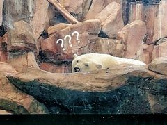 -西安曲江海洋极地公园