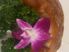 正宗北京果木烤鸭-大鹏饭店·金陵家宴(奥体中心店)