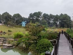 -铁山坪森林公园