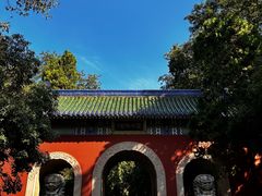 -灵谷景区