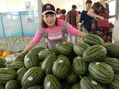 -庞各庄翠芳园西瓜蔬菜基地采摘园