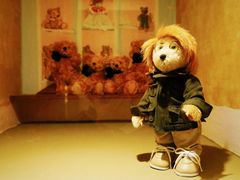 -济州岛泰迪熊博物馆