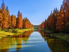 -黄海国家森林公园