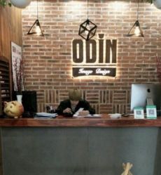 -ODIN 奥丁形象设计 
