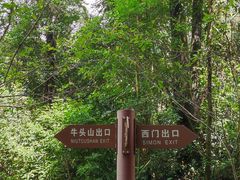 -天鹿湖森林公园