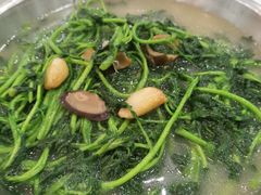 -绿雅居原生态农庄(小涌店)