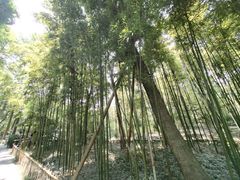 -成都杜甫草堂博物馆