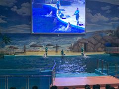 -福州罗源湾海洋世界旅游区