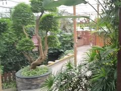 -金稼园·金平湖农家菜