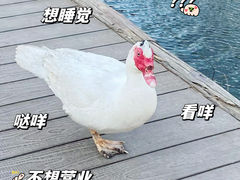 -三里河公园