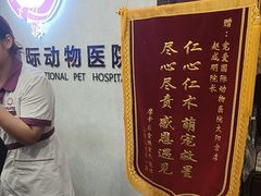 -宠爱国际动物医院·疑难骨科·心肾内科·皮肤科(太阳宫店)