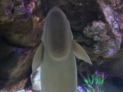 -南昌融创海世界
