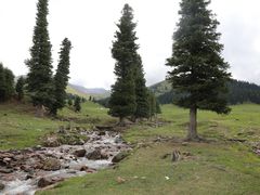 -新疆那拉提国家旅游度假区