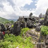 贺州玉石林里都是“玉”