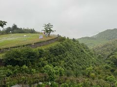 -天姥山景区