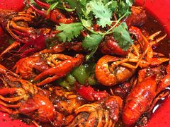 -红辣椒·川菜·火锅(张杨路店)