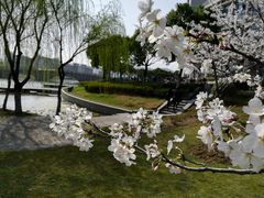 -江南大学(蠡湖校区)