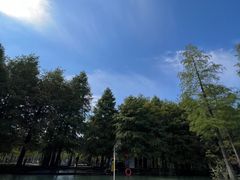 -泗洪洪泽湖湿地景区