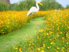 -漩门湾国家湿地公园