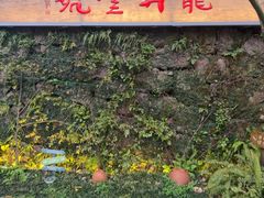 -龙井壹号·茶缘山景宴(龙井村店)