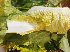 -辛森家猪蹄火锅(台东店)