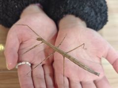 -上海昆虫博物馆