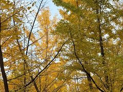 -森林公园(尖草坪区)