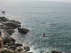 -广东惠东海龟国家级自然保护区