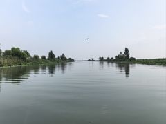 -白洋淀景区